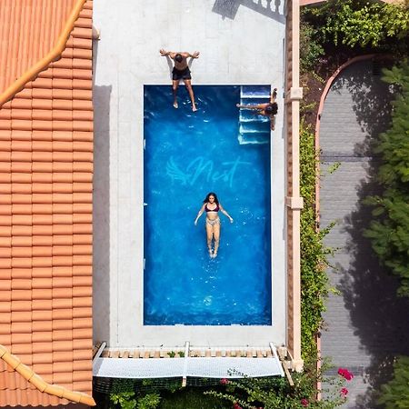 Duque Nest Hostel Costa Adeje  Kültér fotó